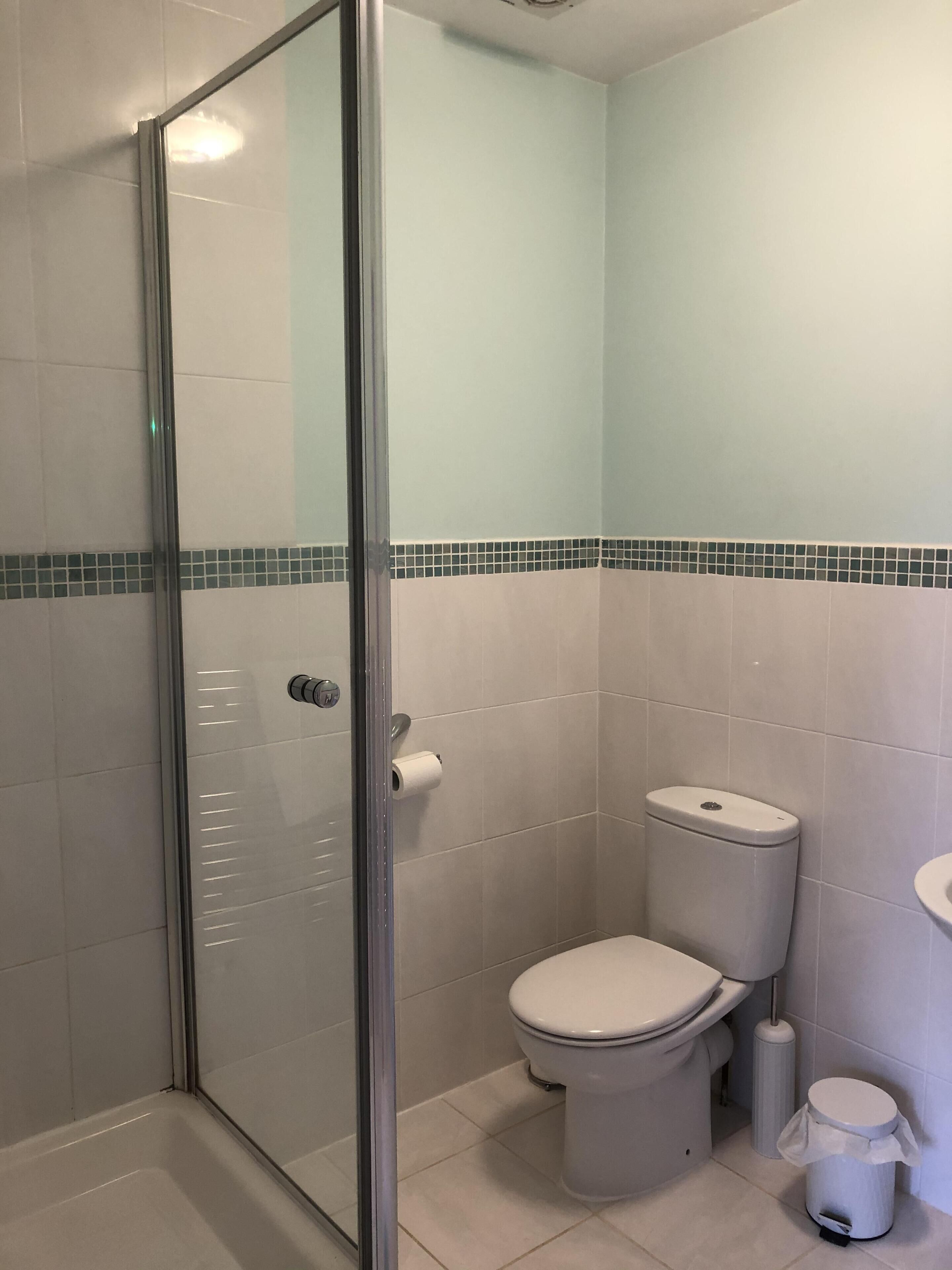 A bathroom with a glass shower enclosure, a toilet, and a trash can.