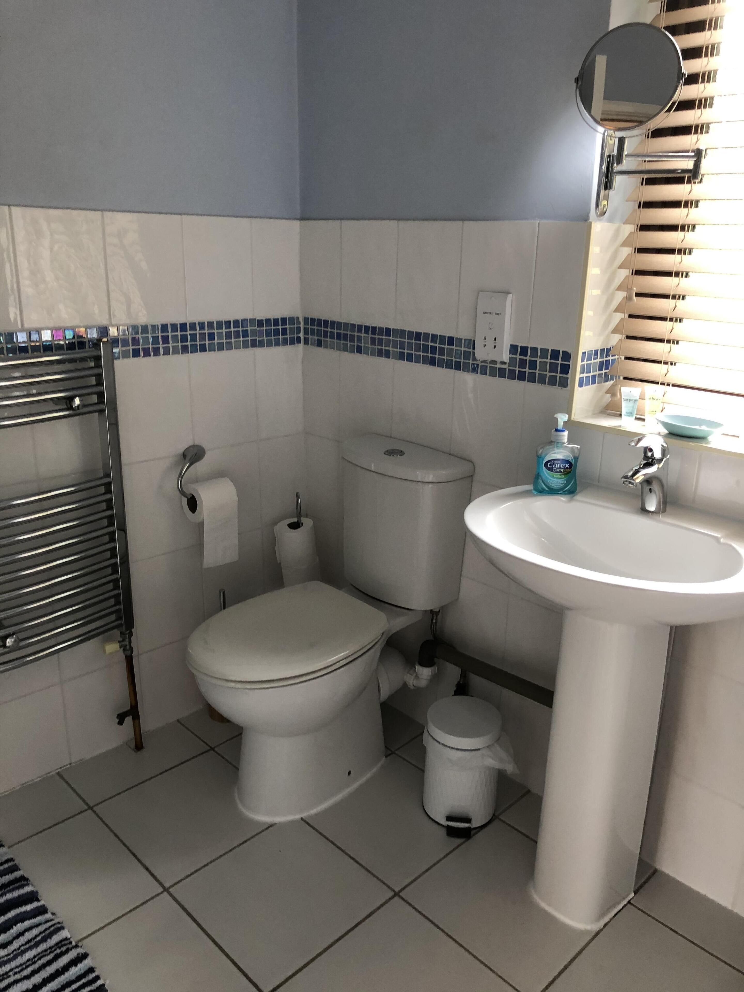 Une salle de bain avec des toilettes, un lavabo et un miroir.