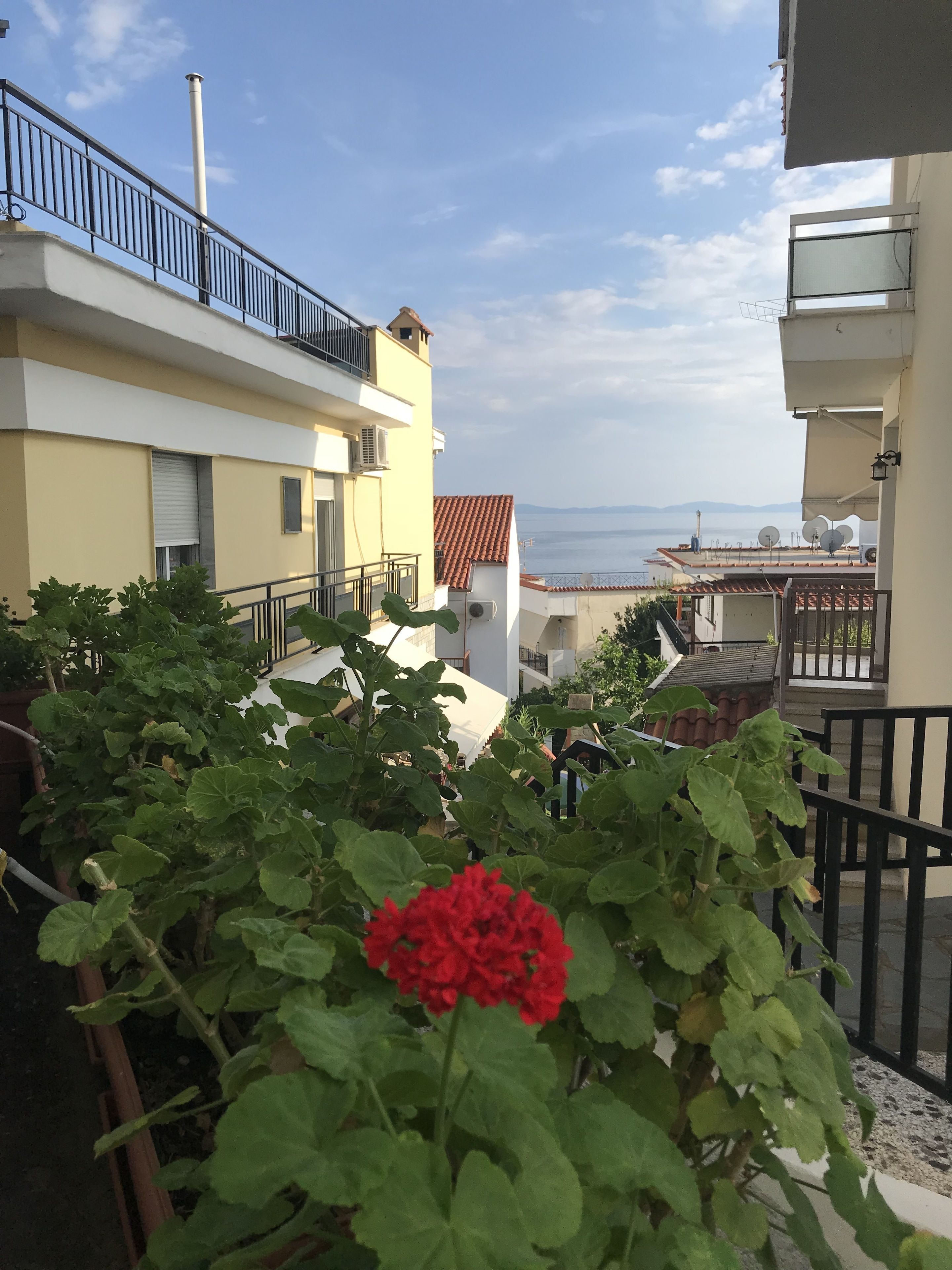 Apartment | View from room