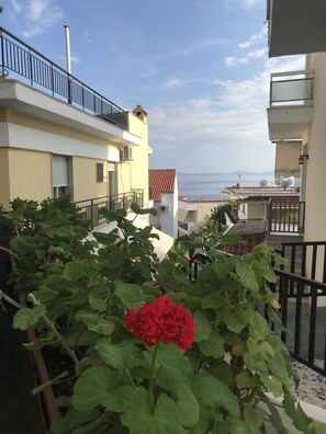 公寓 | 客房景觀