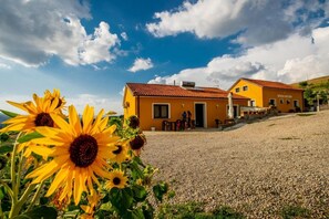 A yellow building with a red roof, a gravel driveway, and sunflowers in the foreground. - Spazio Natura (Castelmezzano)