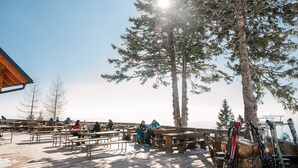 A wooden deck with benches and tables, surrounded by tall pine trees, under a clear sky. - Hotel Rozka (Cerklje na Gorenjskem)