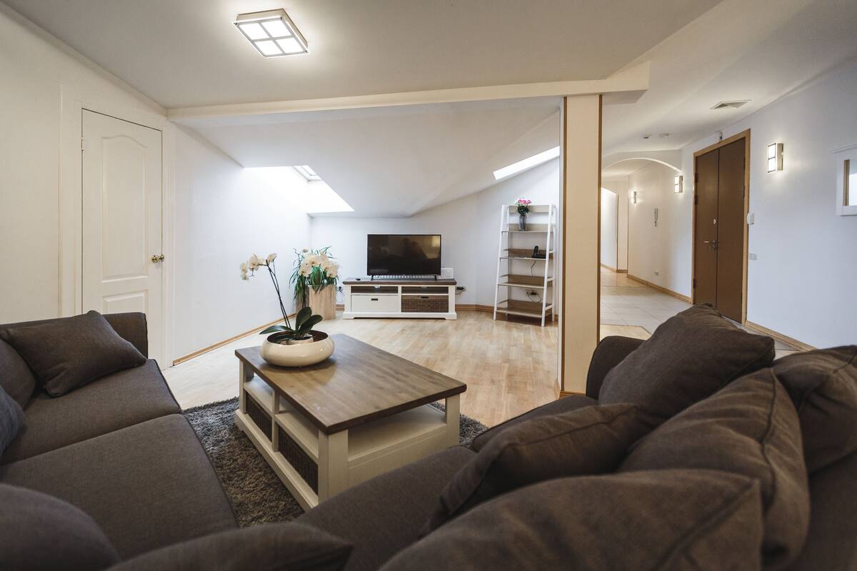 A modern living room with a sofa, coffee table, TV, and a plant.