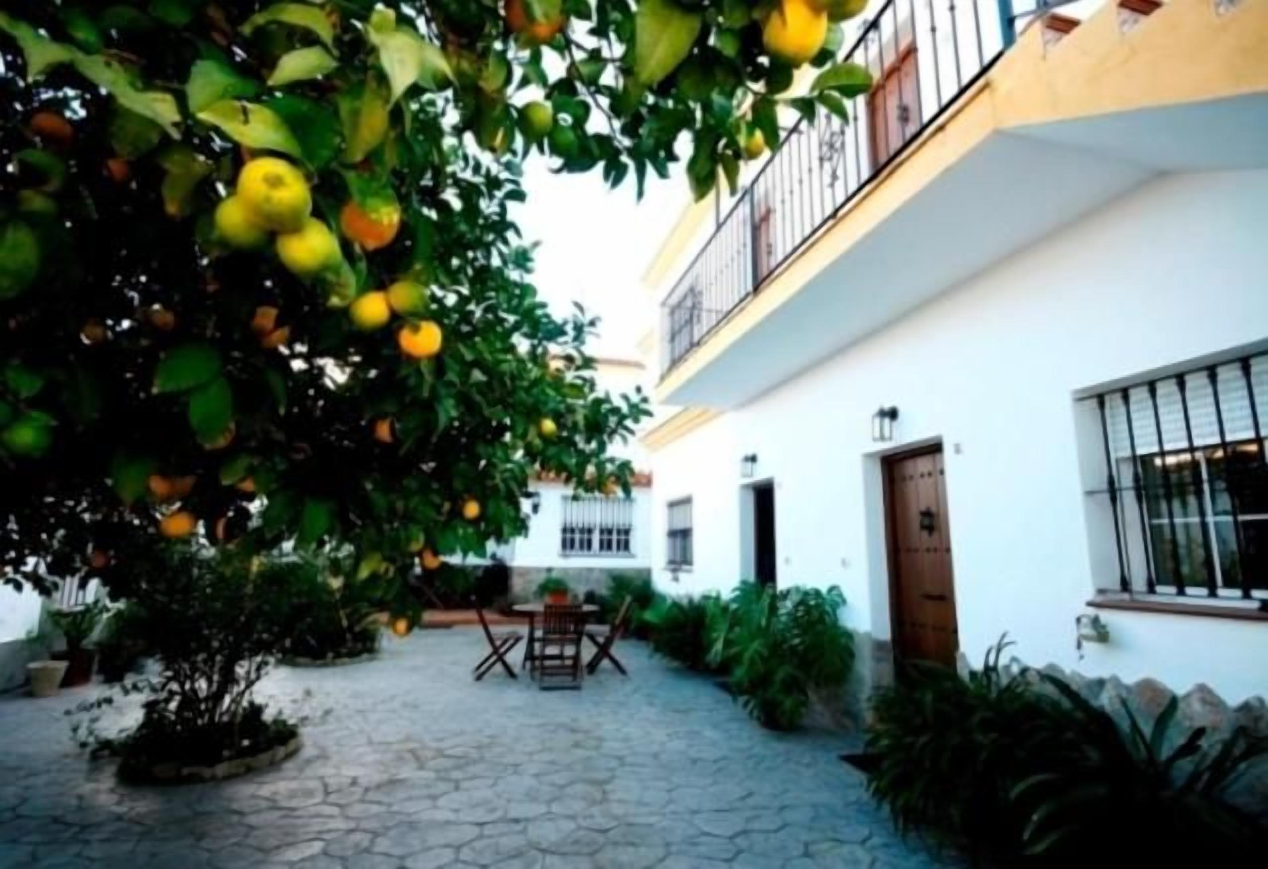 Ein Innenhof mit Baum, Tisch und einem Gebäude mit Balkon.