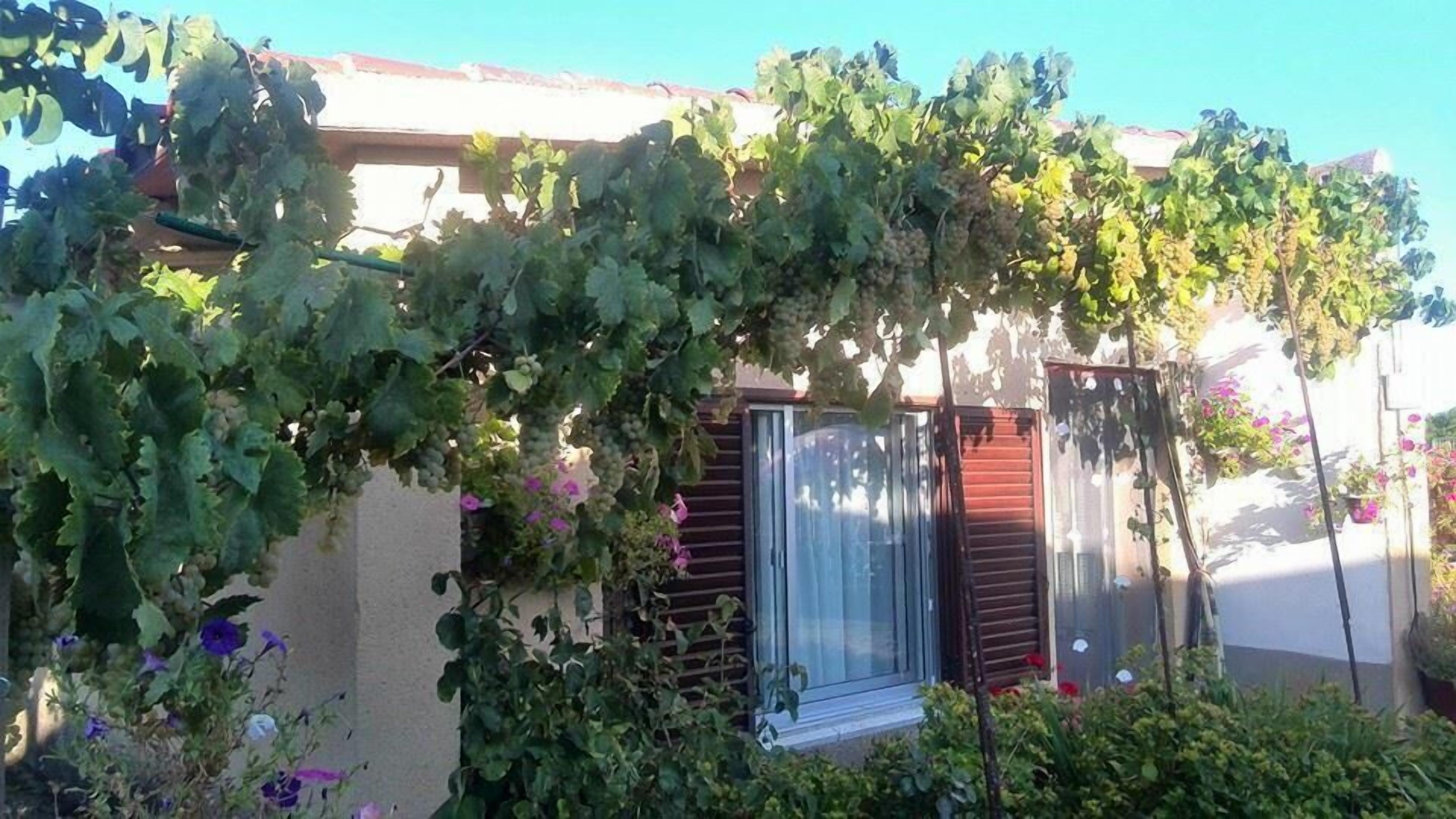 Photo - Albergue Turistico Torre de Sabre