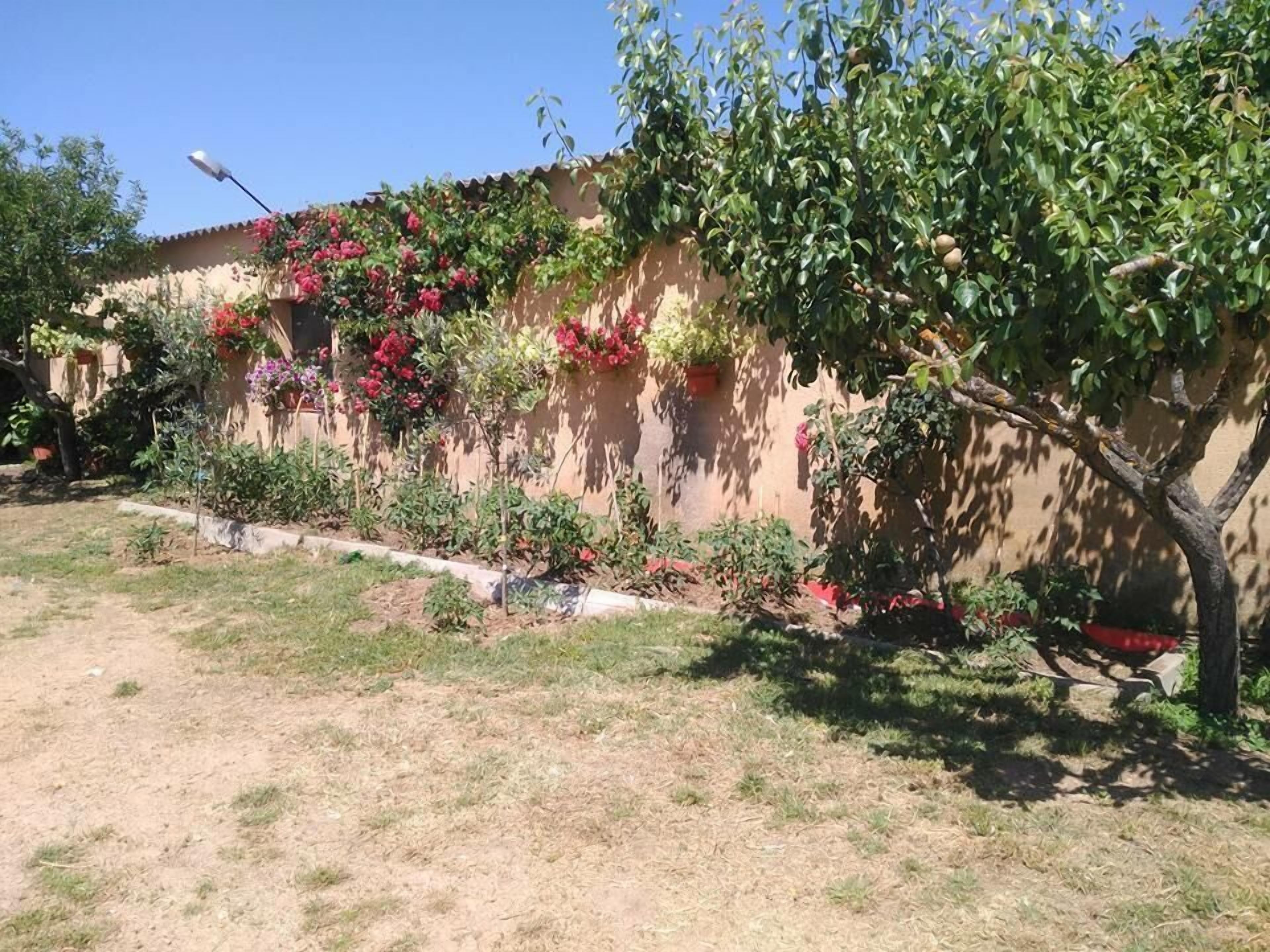 Photo - Albergue Turistico Torre de Sabre