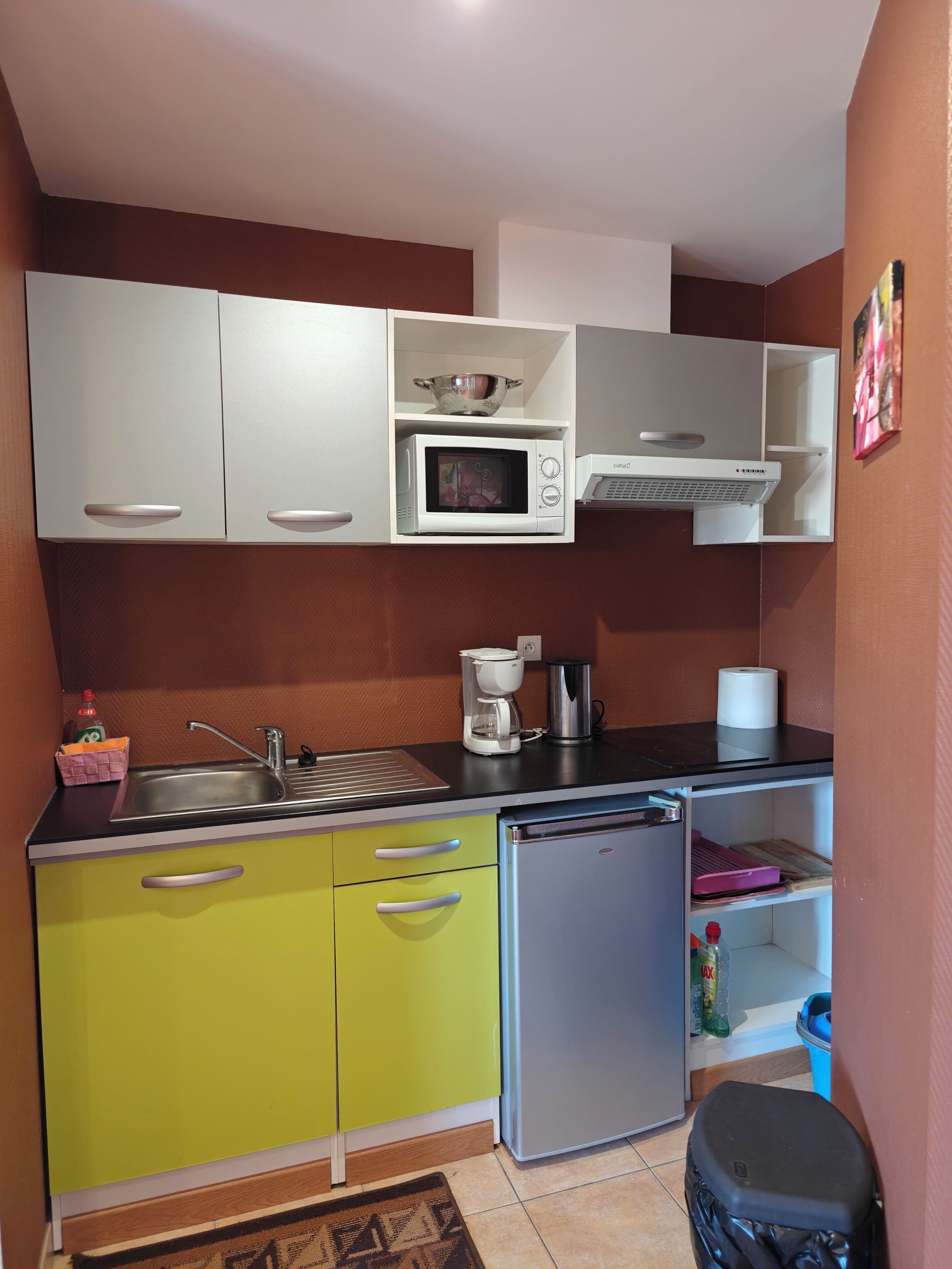 Studio Suite phong cách cổ điển, 1 phòng ngủ | Trang trí khác biệt, trang bị nội thất với thiết kế riêng biệt 