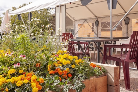 Terraza o patio