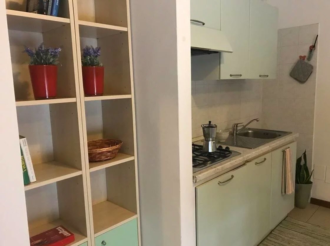 A kitchen with a gas stove, sink, and cabinets. There are potted plants on the shelves and a basket on one of the shelves.