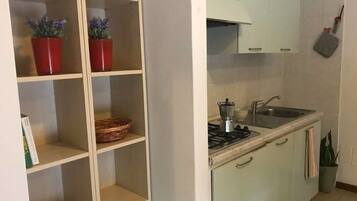 A kitchen with a gas stove, sink, and cabinets. There are potted plants on the shelves and a basket on one of the shelves.