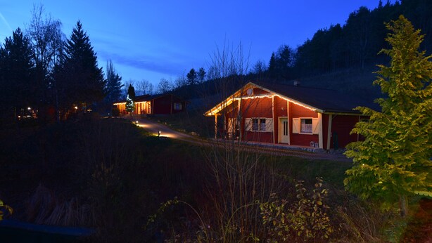 A house with a red exterior and a lit Christmas tree.