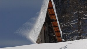 Een besneeuwde blokhut met houten gevel en een besneeuwd dak, omringd door een besneeuwd landschap en bomen.