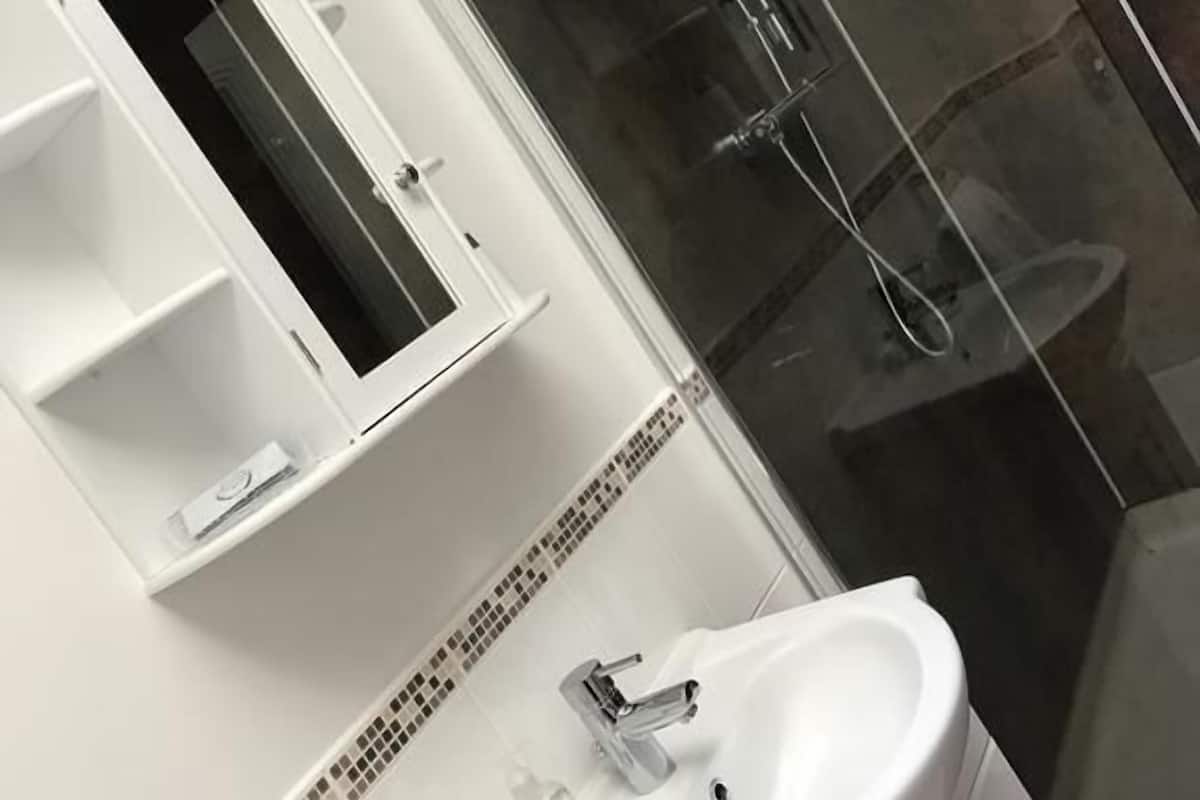 executive double or twin room, 1 queen bed, ensuite | bathroom | shower