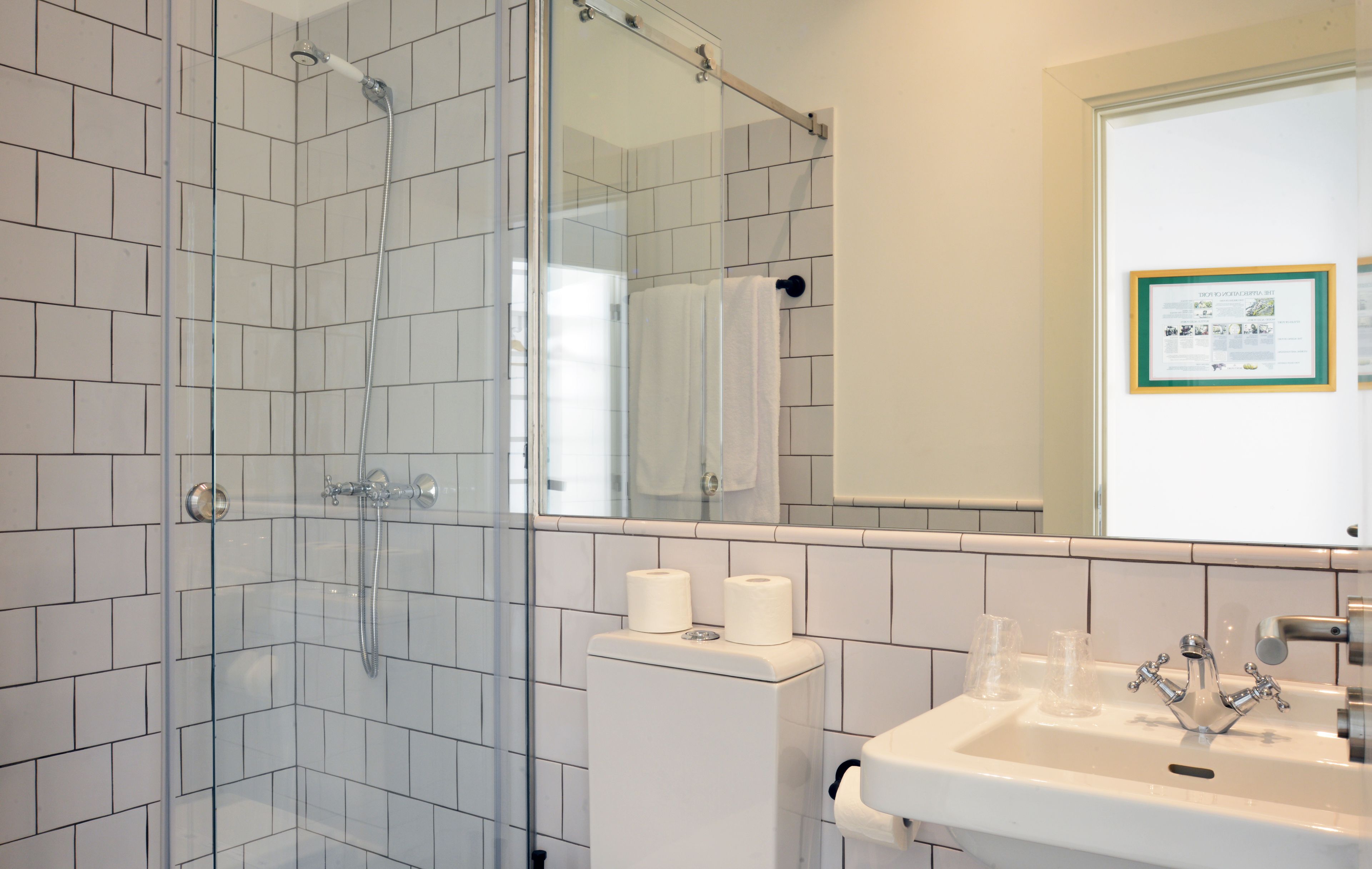 A modern bathroom with a glass shower enclosure, a white sink with a mirror, and a framed informational poster on the wall.