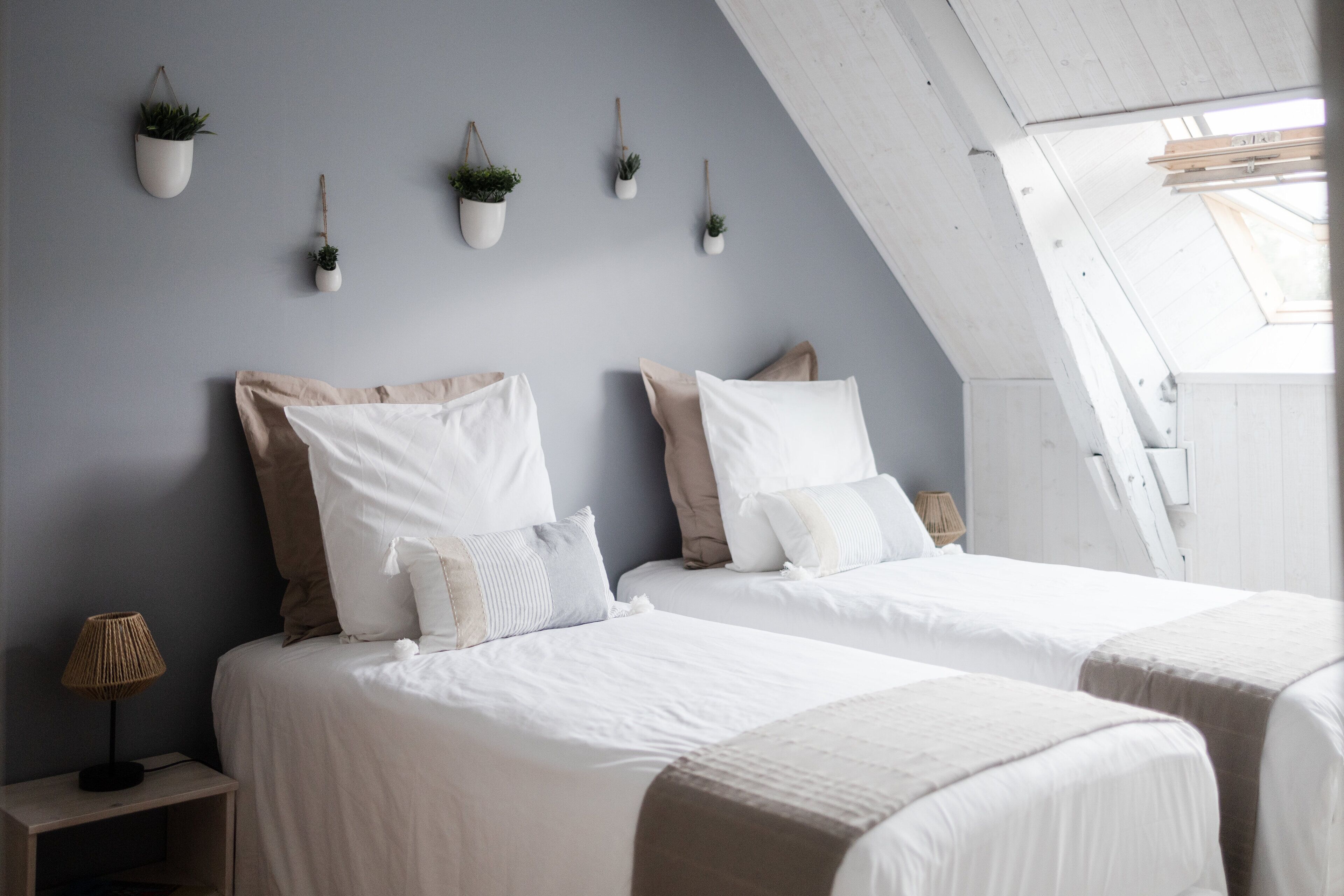 A bedroom with two beds, a bedside table with a lamp, and wall-mounted planters.