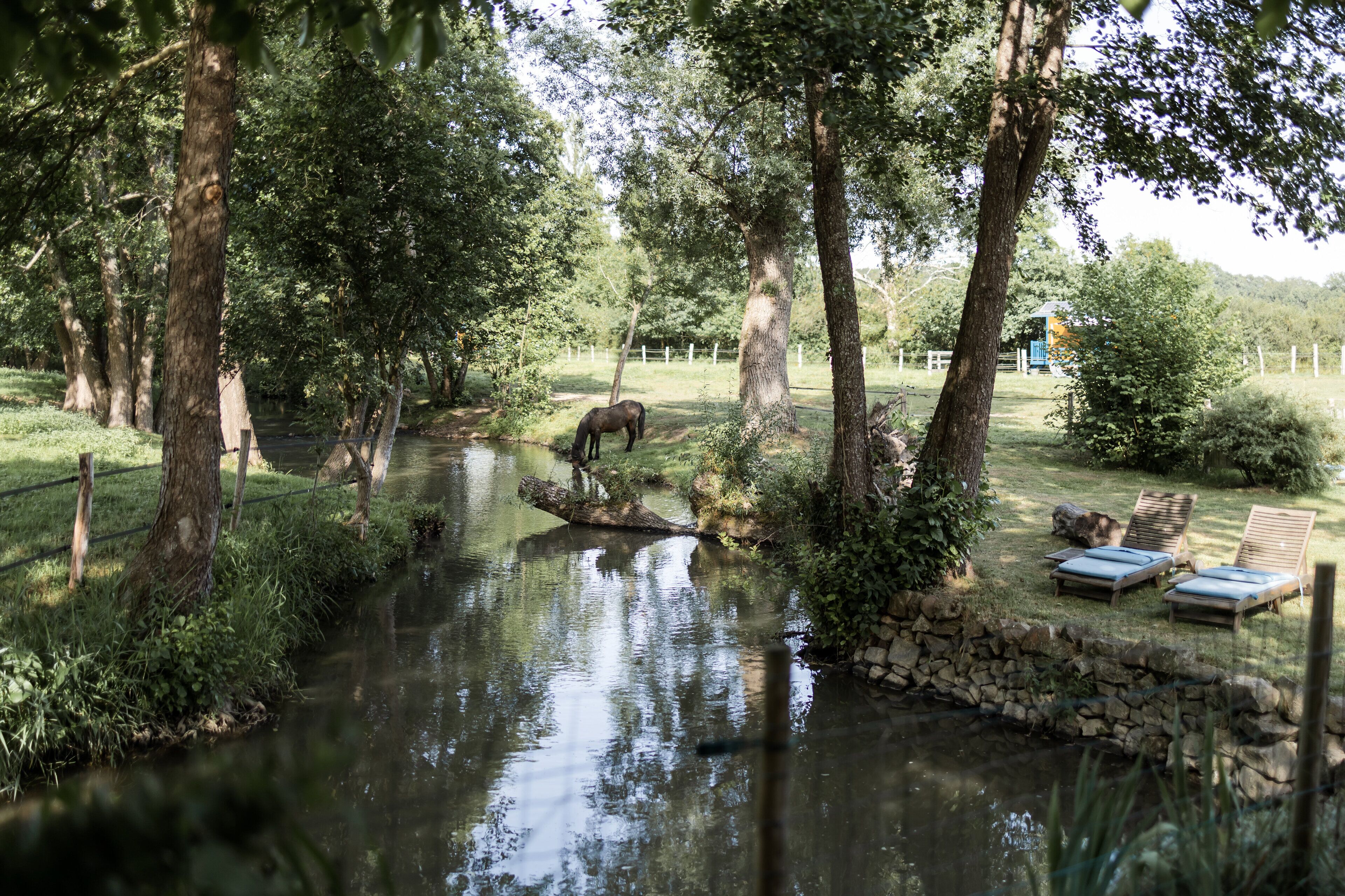 A tranquil outdoor setting with a pond, wooden benches, and a horse grazing.