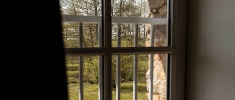 A window with a view of a garden and trees.