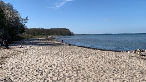 A sandy beach with a calm body of water, trees, and a distant forested area.