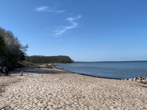 A sandy beach with a calm body of water, trees, and a distant forested area.