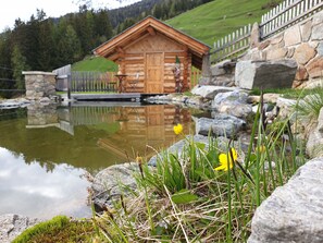 Unclassified image, 2 of 23, button