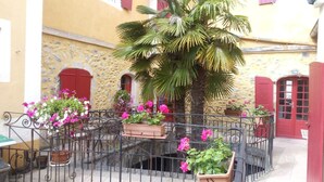 Un pati amb una palmera, plantes en testos i una porta vermella.