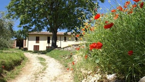 A rural path leading to a building with a tiled roof, surrounded by greenery and red flowers. - La Perticara (Acquasparta)
