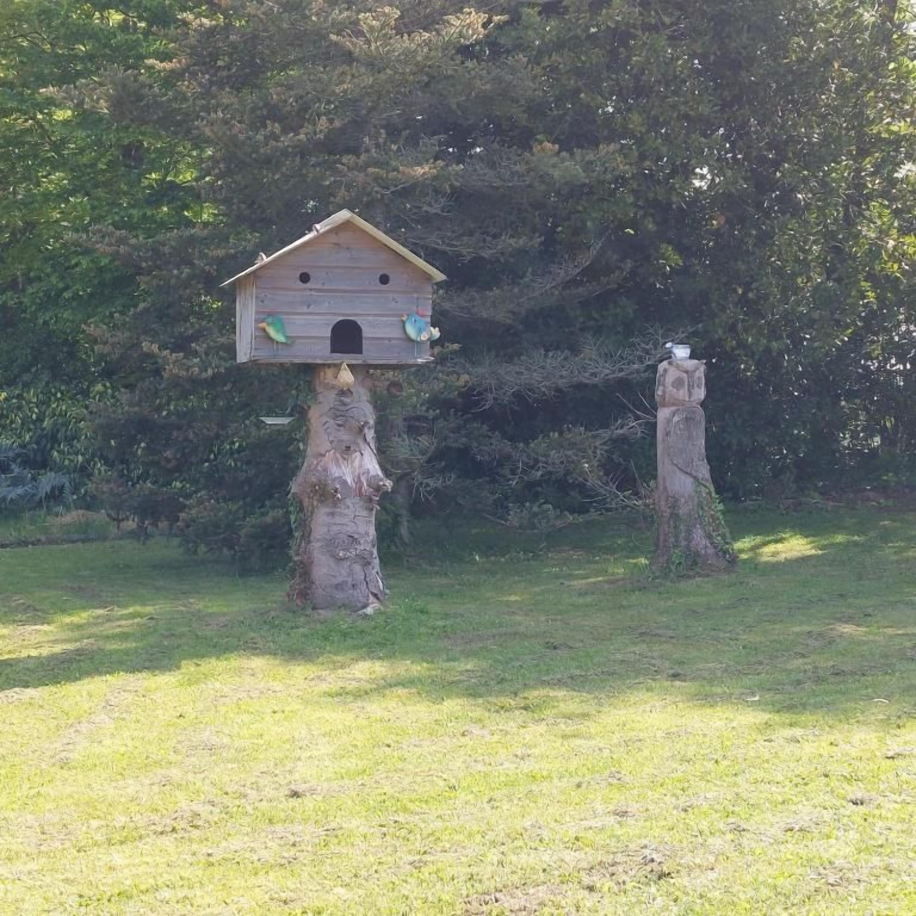 A wooden birdhouse mounted on a tree in a grassy area with dense foliage in the background.