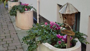 Un panneau d’accueil placé dans un jardinière, un nichoir et des plantes en pot le long d’un chemin bordé de briques.