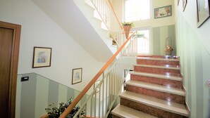 Un escalier avec une rampe en bois, une plante en pot sur le palier et des tableaux encadrés aux murs.