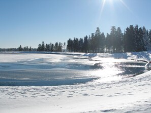 Beach - Pension Haus Waldfrieden (Willingen)