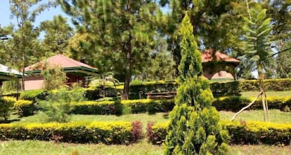 GREEN HOME COTTAGES AND CAMPSITE