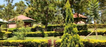 GREEN HOME COTTAGES AND CAMPSITE