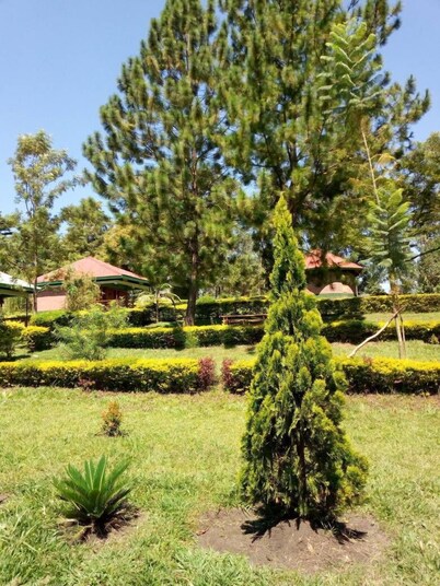 GREEN HOME COTTAGES AND CAMPSITE