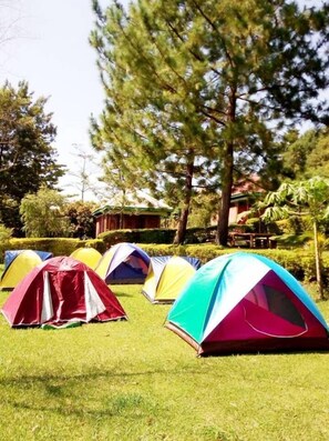 Property grounds - GREEN HOME COTTAGES AND CAMPSITE (Fort Portal)