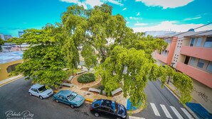 A street view with parked cars, trees, and buildings. - Henry's GuestHouse - Hostel (San Juan)
