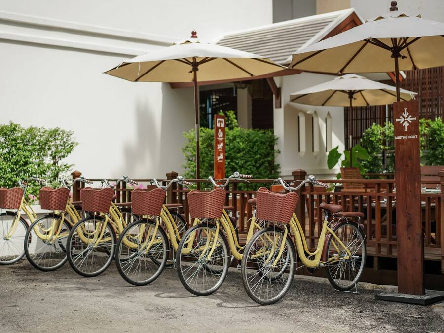 A row of yellow bicycles with wicker baskets, parked under umbrellas, and a wooden fence in the background.