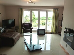 Flat-screen TV - Brynhyfryd (Aberystwyth)