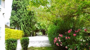 Un chemin de jardin mène à un bâtiment à la façade blanche, entouré d’une végétation luxuriante et de buissons en fleurs.