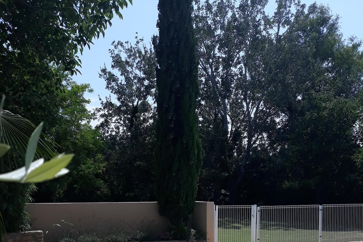 Traditional Studio, Private Bathroom, Pool View (Studio Camargue) | Individually decorated, individually furnished, soundproofing, free WiFi