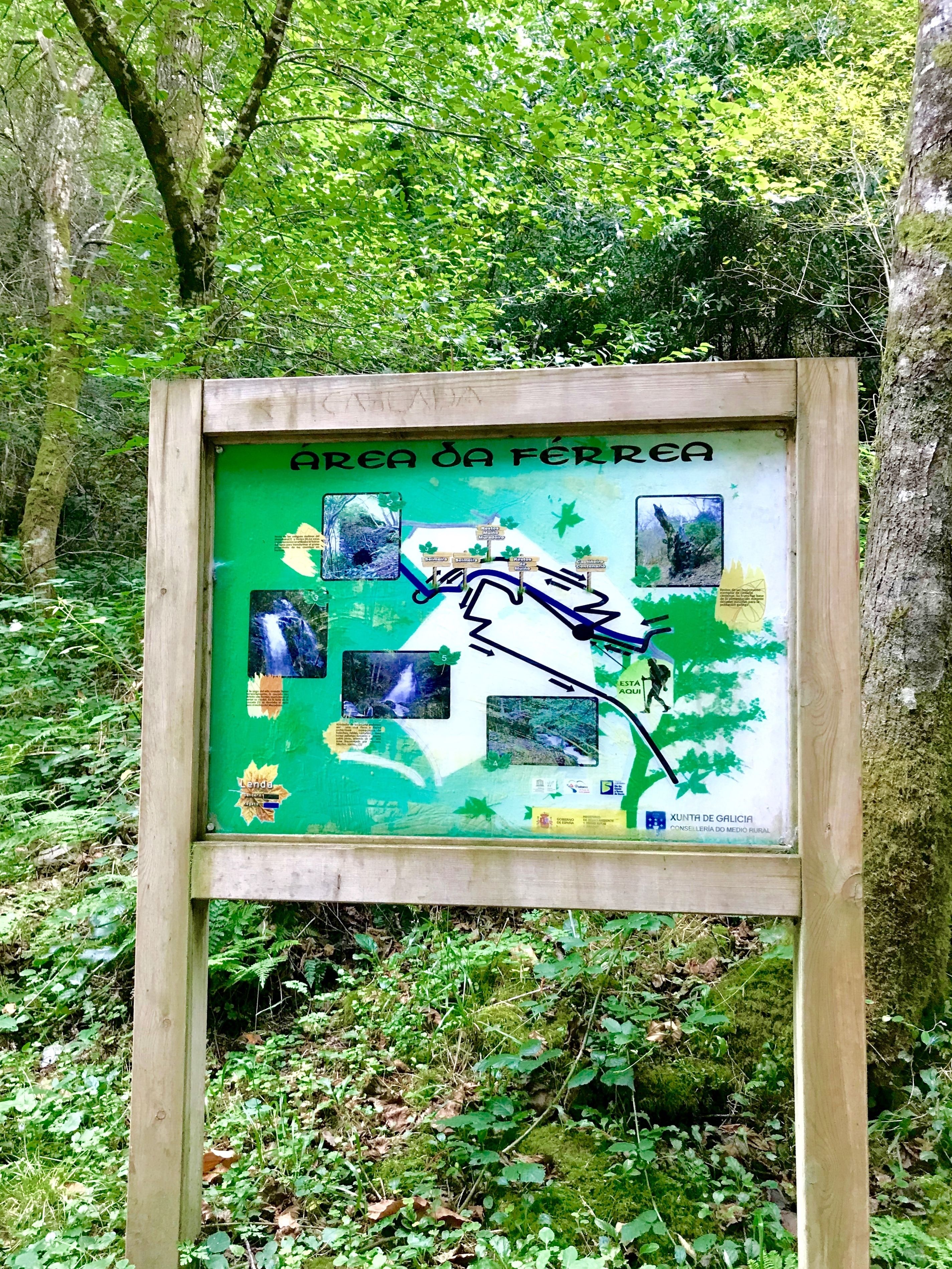 Un panneau en bois avec une carte et des flèches indiquant les directions, placé dans une zone boisée.