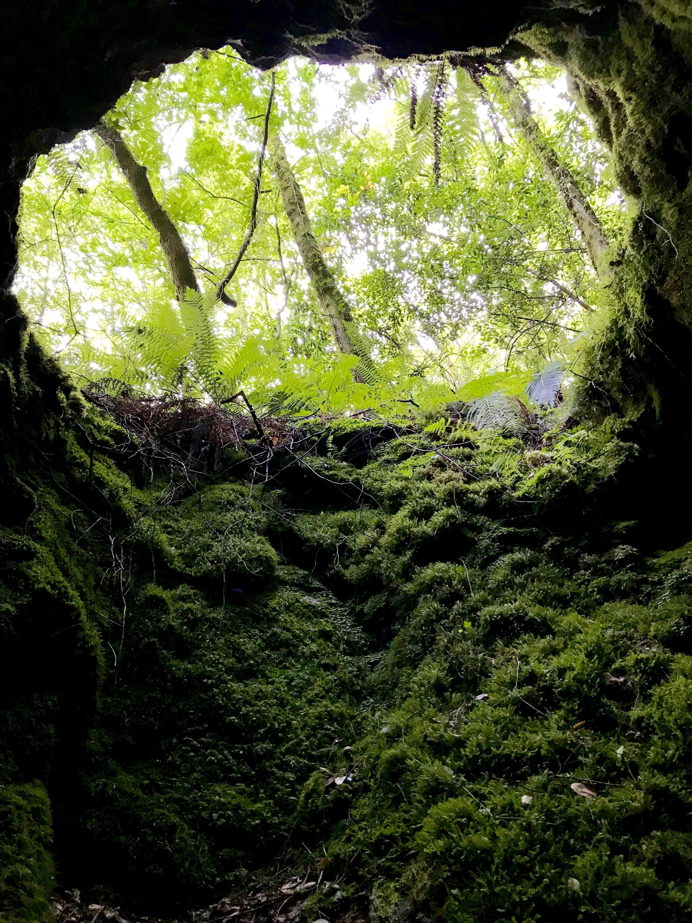 Entrada natural em caverna, com paredes cobertas de musgo e vista para uma floresta por uma abertura circular.