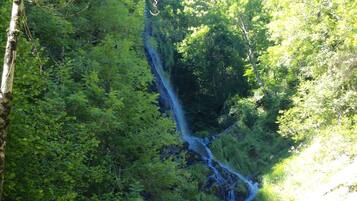 Een waterval stort neer over een rotswand, omringd door weelderige groene begroeiing.