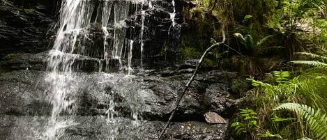 Una cascada se precipita sobre rocas oscuras, rodeada de exuberante vegetación.