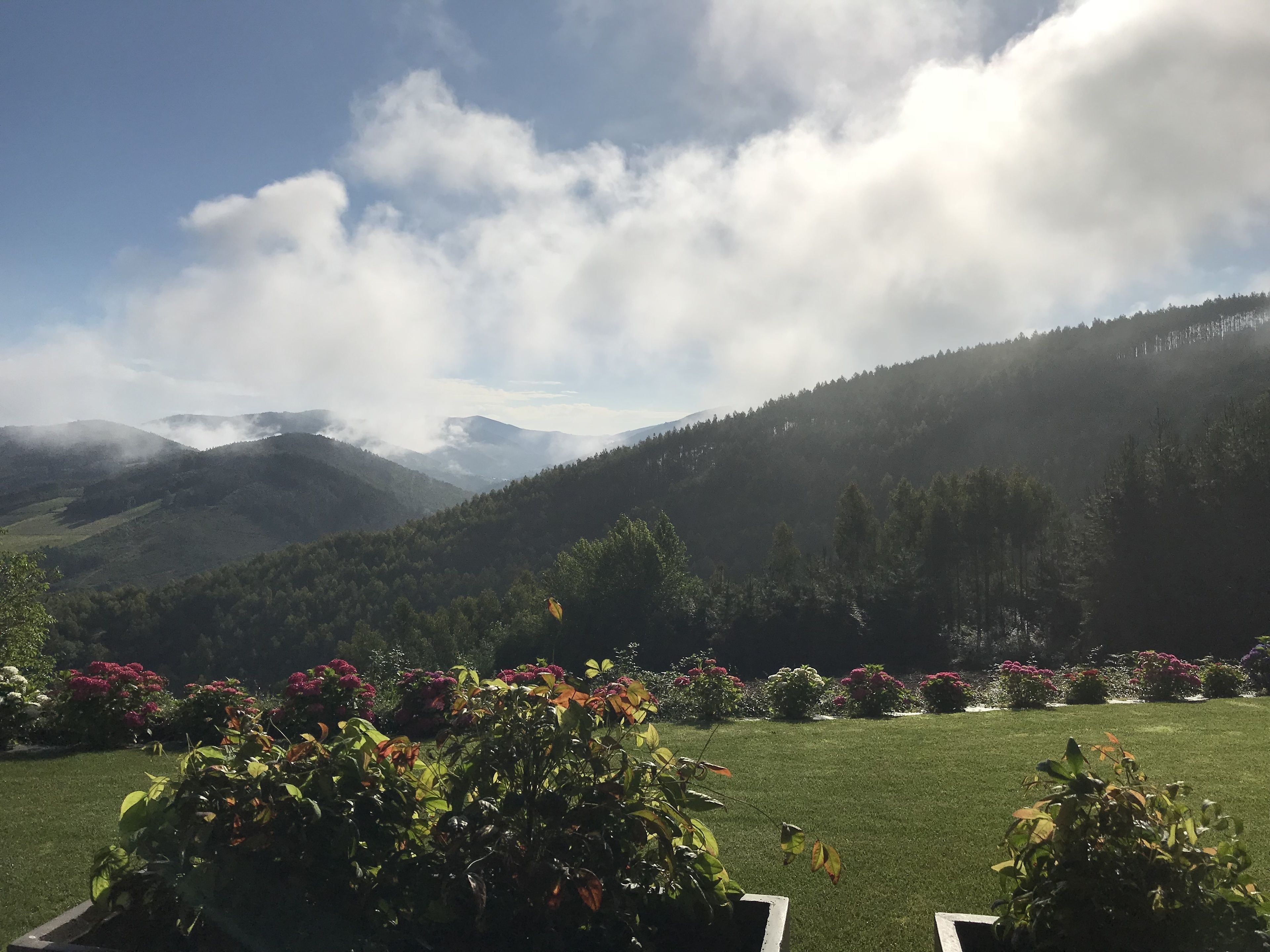 A mountainous landscape with a clear sky and a well-maintained garden in the foreground.