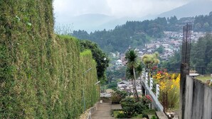 A concrete pathway leading uphill, flanked by a neatly trimmed hedge and a variety of flowering plants. - The View Villa (Cisarua)
