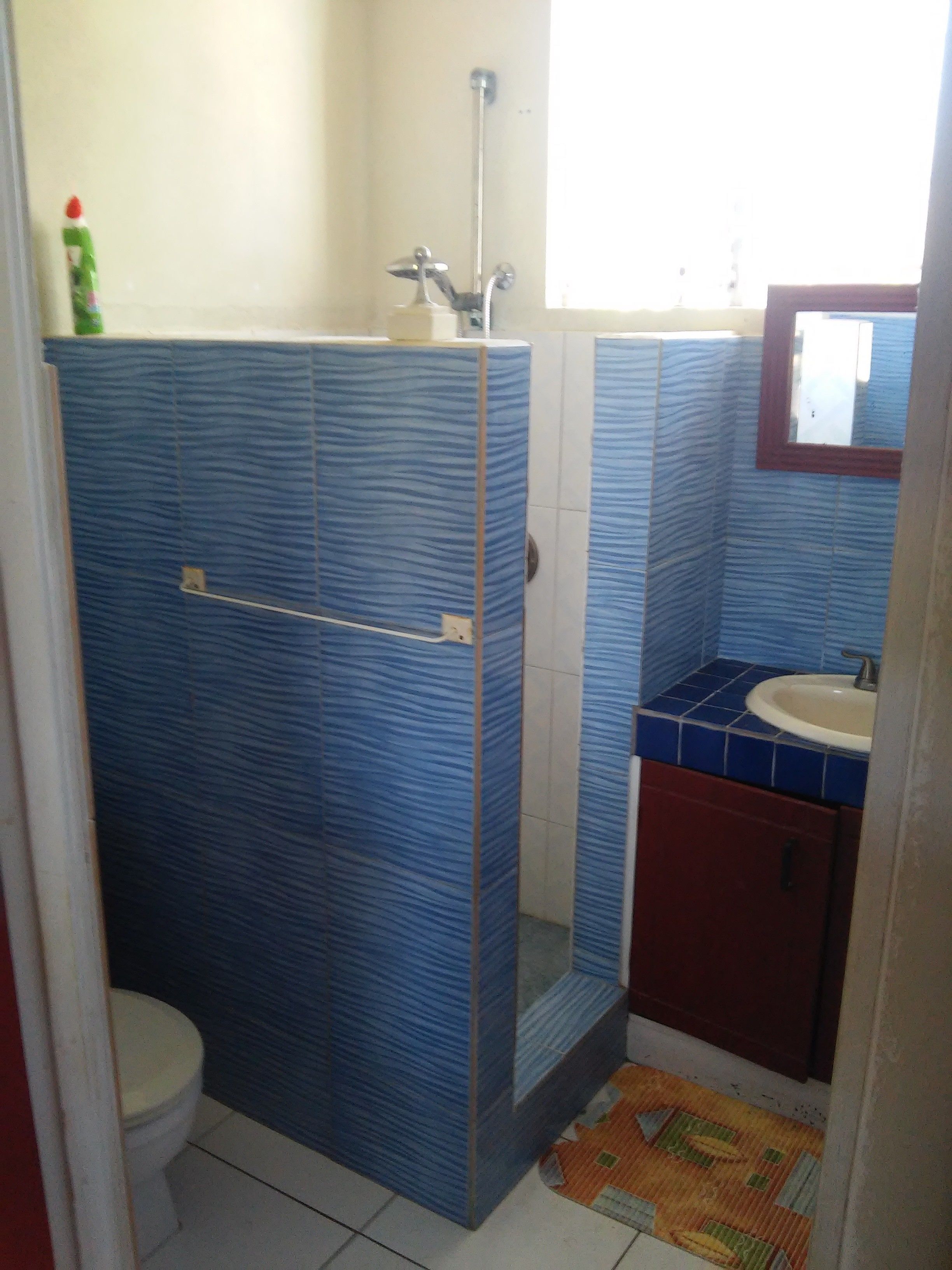 1 bedroom apartment  | bathroom | shower, free toiletries, hair dryer, towels