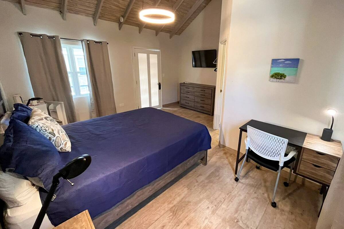 standard room, 1 queen bed, non smoking | in-room safe, individually decorated, individually furnished, desk