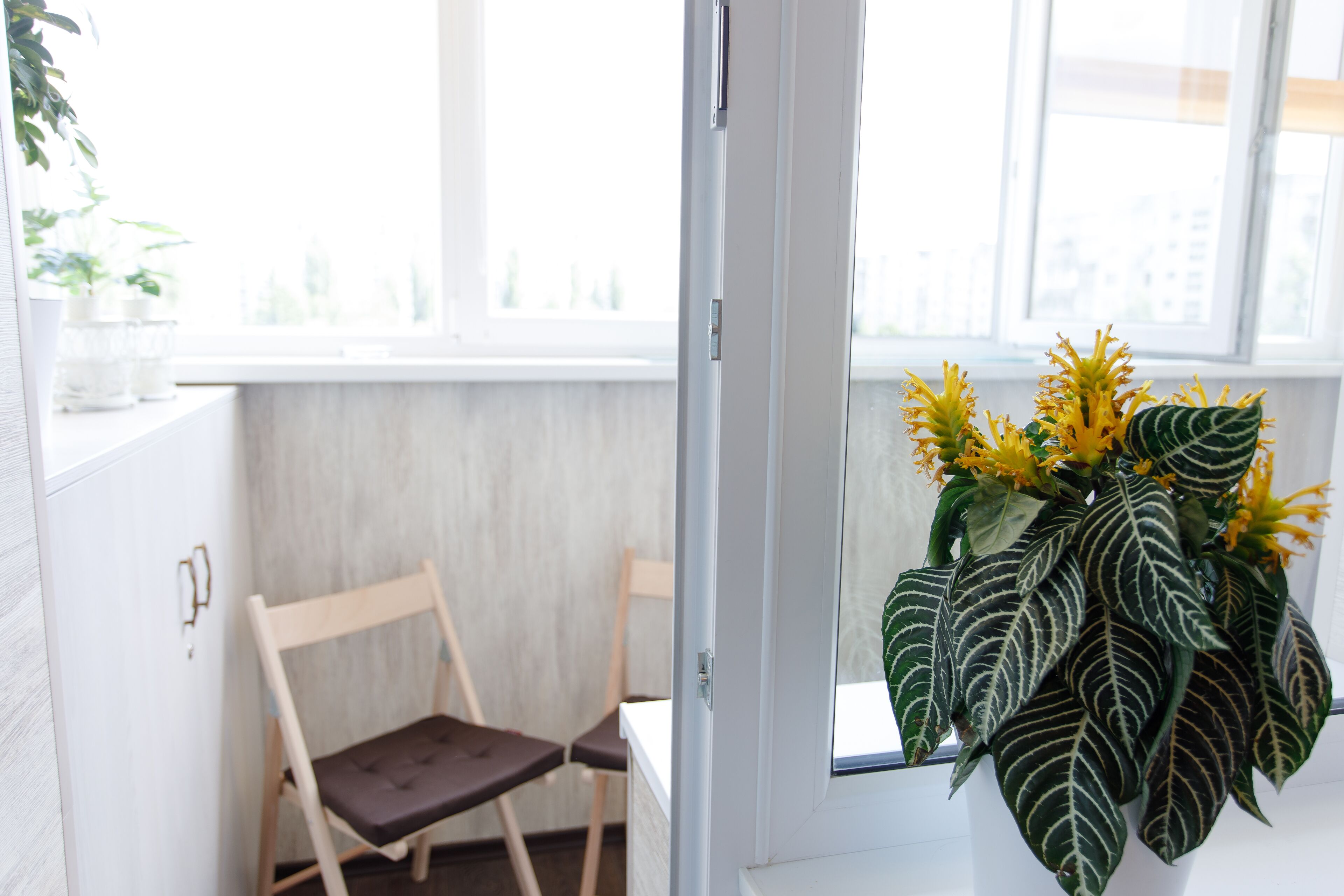 Ein Zimmer mit Fenster, einem Sessel und einem Blumentopf mit gelben Blüten.