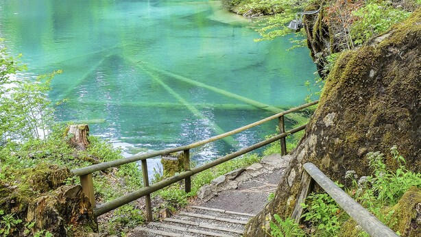 A wooden staircase leading down to a clear, green body of water surrounded by lush greenery. - Hotel Blausee (Kandergrund)