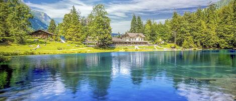 Área da propriedade